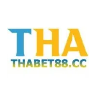 thabet đăng nhập